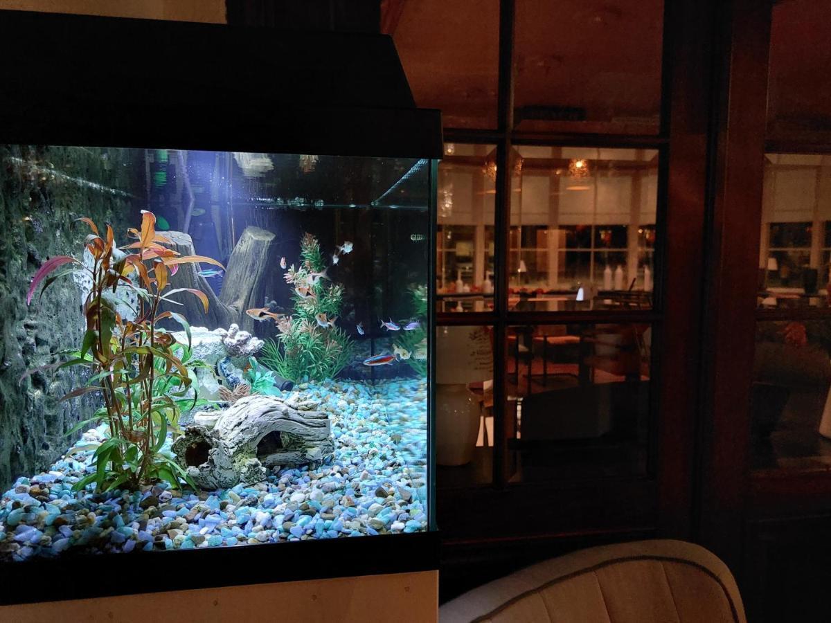 Hotel De Zwaan Schoondijke Bagian luar foto